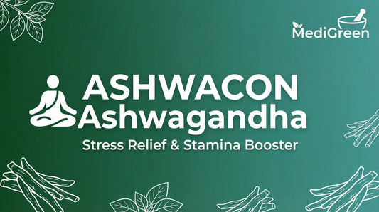 Is ASHWACON Ashwagandha Right for You? A Detailed Look at Benefits and Side Effects
