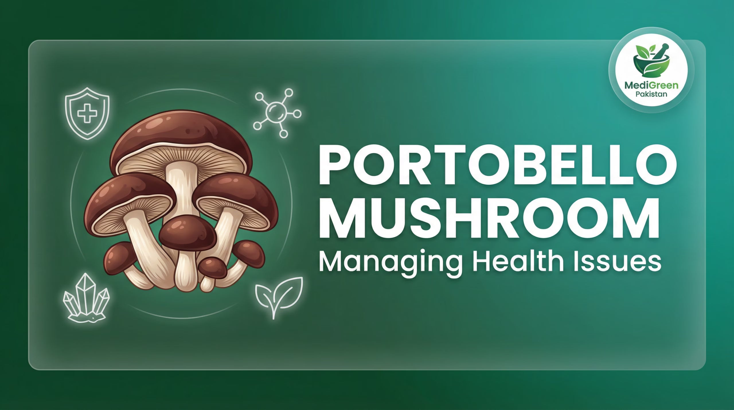 Why L-Carnitine 500mg is Essential for Pakistani Lifestyles: A Comprehensive Review – Part 2