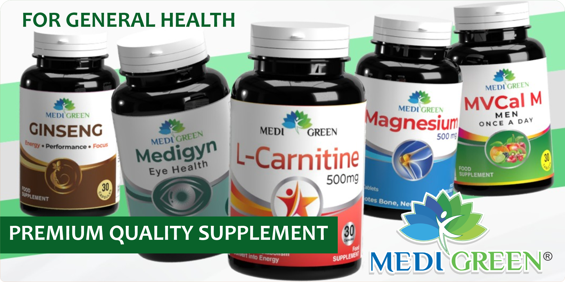 The Link Between Gut Health &amp; Overall Wellbeing