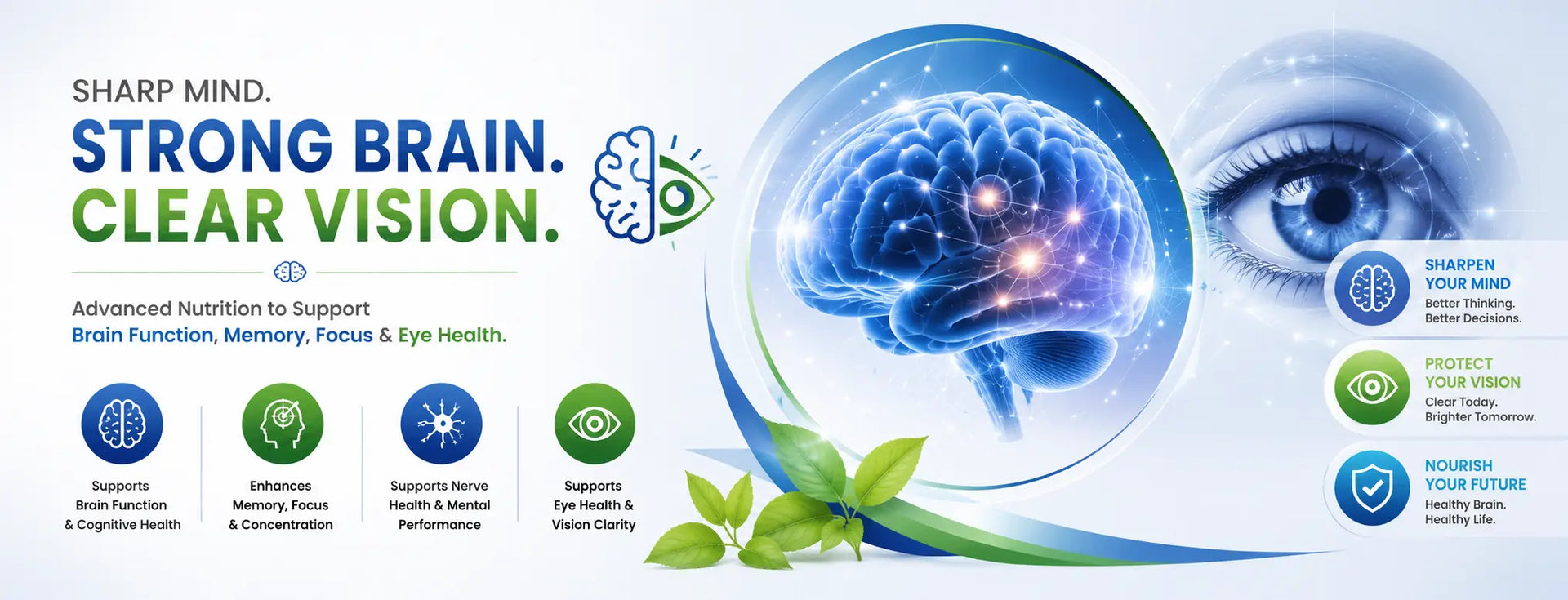 Brain-Vision MediGreen