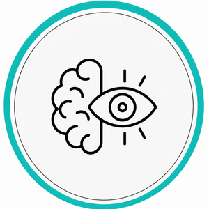Brain And Vision